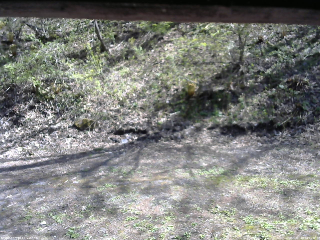 長野県菅平高原 ゆたか山荘 東側(坂下) 2026/05/10 14:15