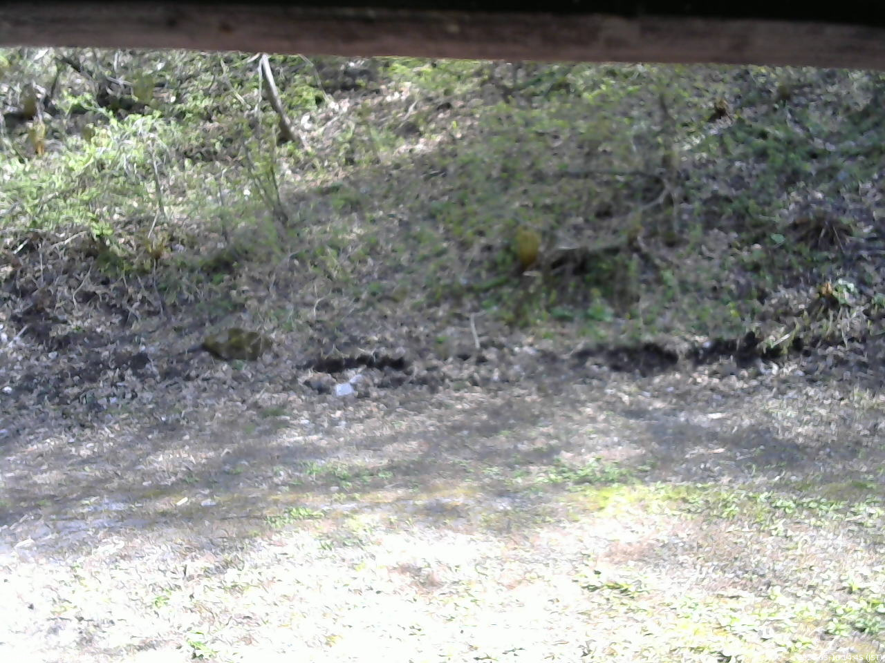長野県菅平高原 ゆたか山荘 東側(坂下) 2026/05/10 14:45