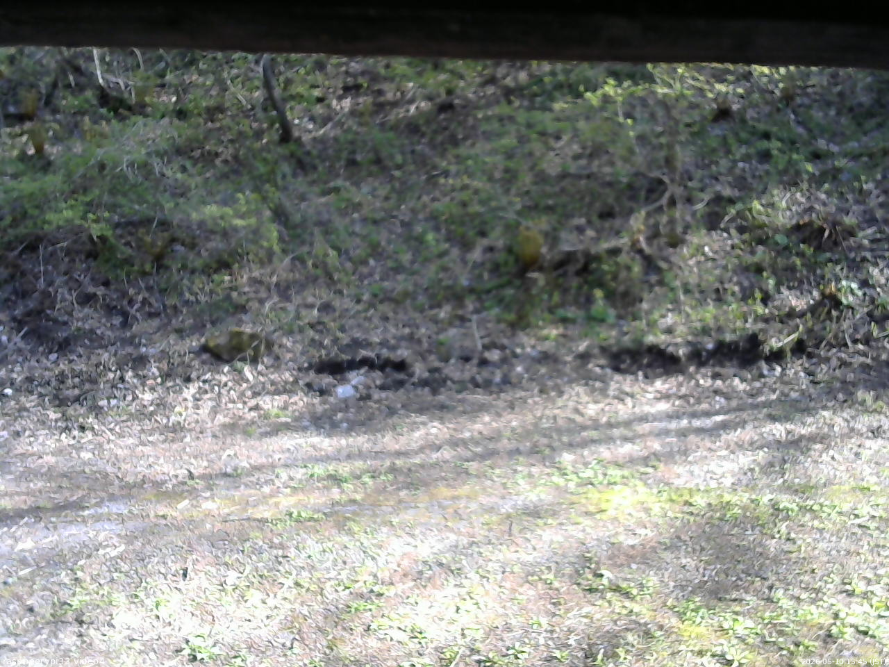 長野県菅平高原 ゆたか山荘 東側(坂下) 2026/05/10 15:45
