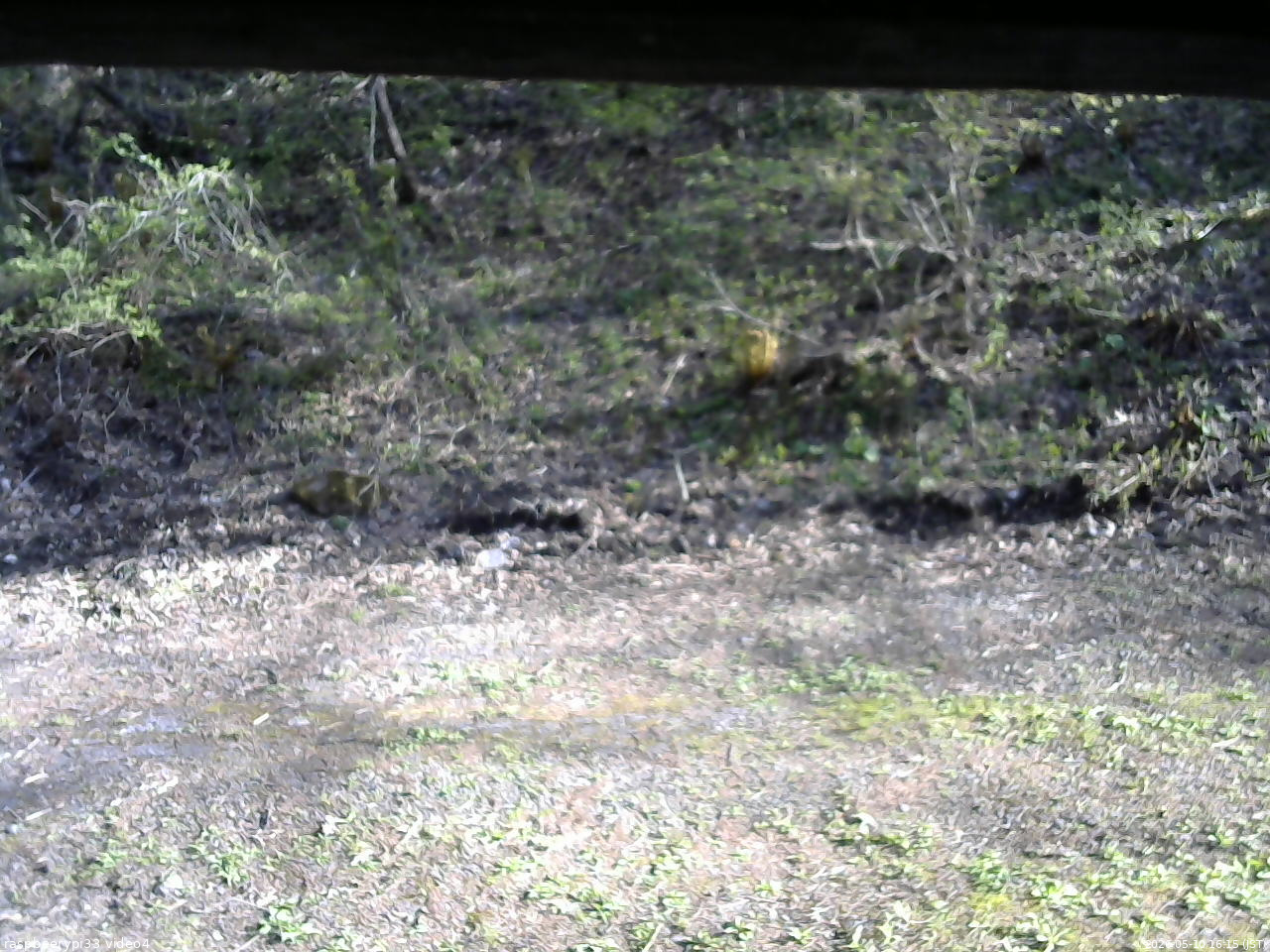 長野県菅平高原 ゆたか山荘 東側(坂下) 2026/05/10 16:15