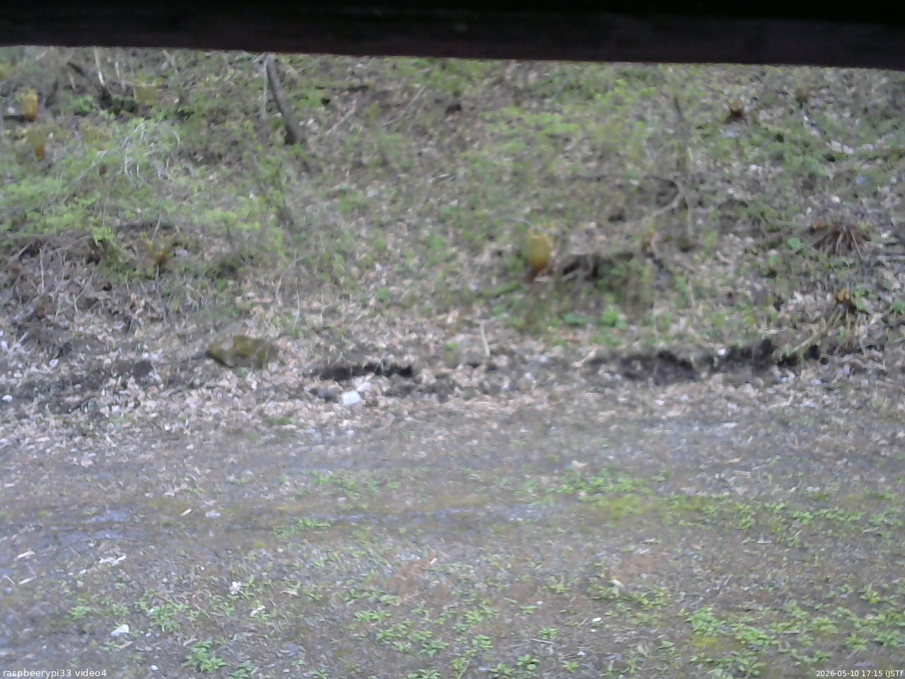 長野県菅平高原 ゆたか山荘 東側(坂下) 2026/05/10 17:15