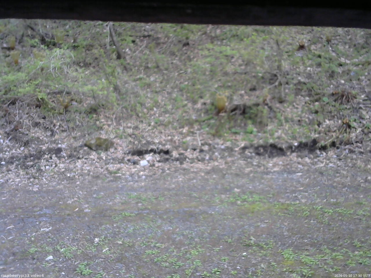 長野県菅平高原 ゆたか山荘 東側(坂下) 2026/05/10 17:30