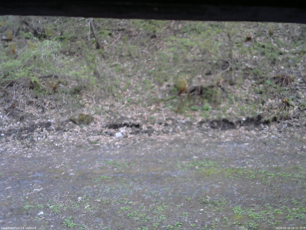 長野県菅平高原 ゆたか山荘 東側(坂下) 2026/05/10 18:15