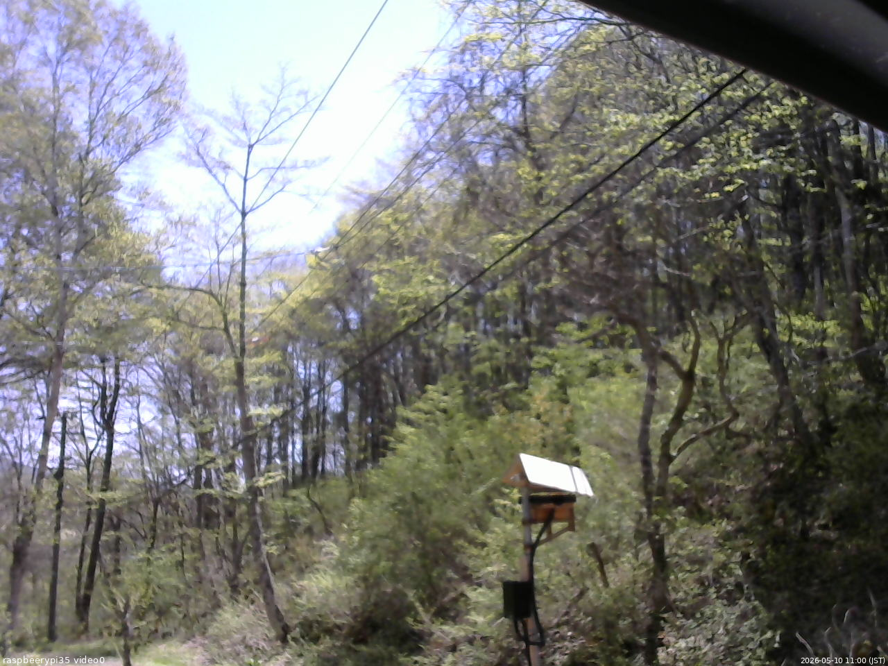 長野県菅平高原 ゆたか山荘 温度計 2026/05/10 11:00