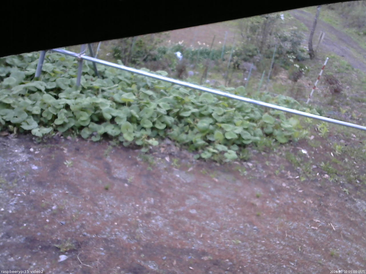 長野県菅平高原 ゆたか山荘 駐車場 2026/05/10 05:00