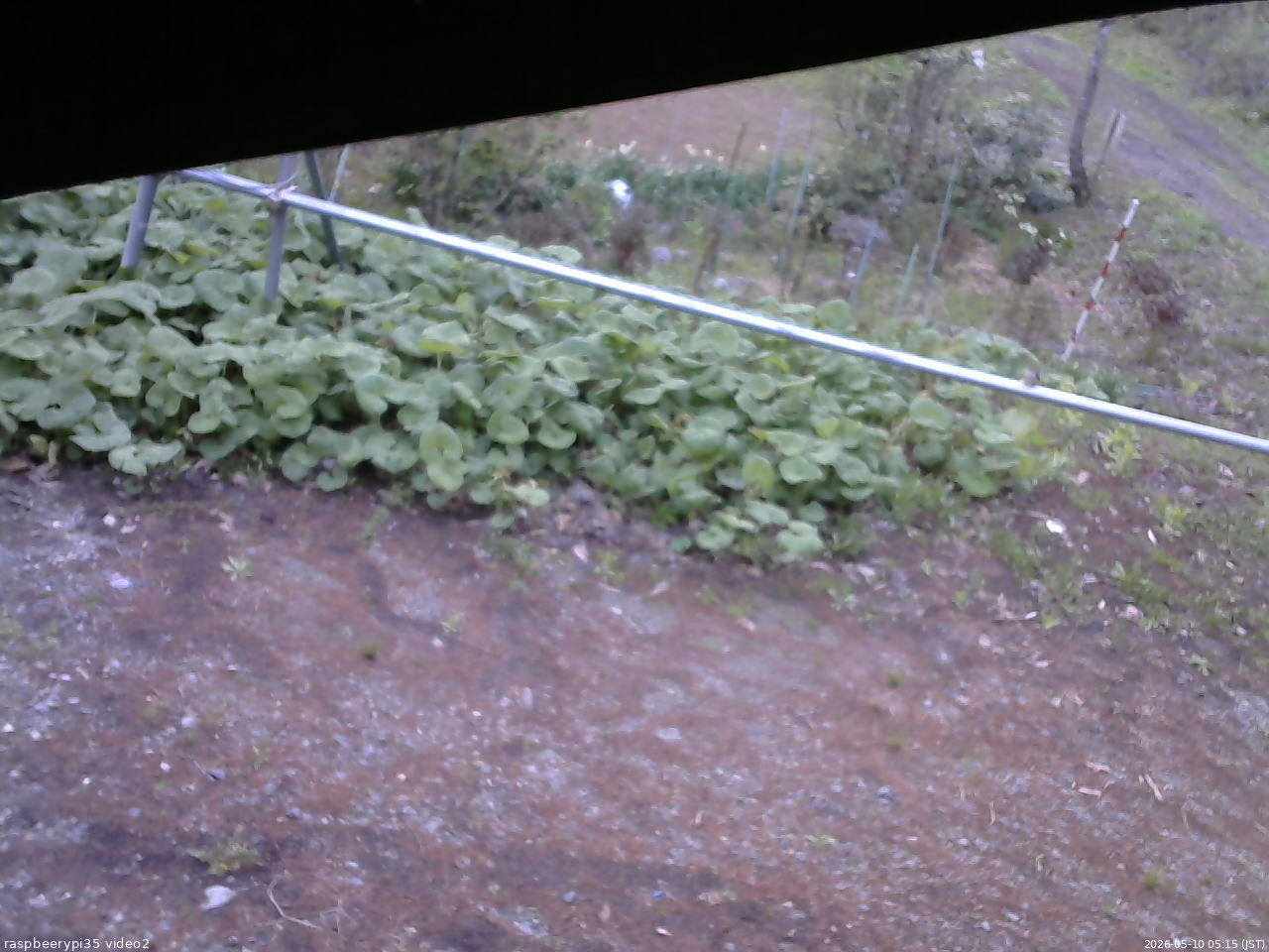 長野県菅平高原 ゆたか山荘 駐車場 2026/05/10 05:15