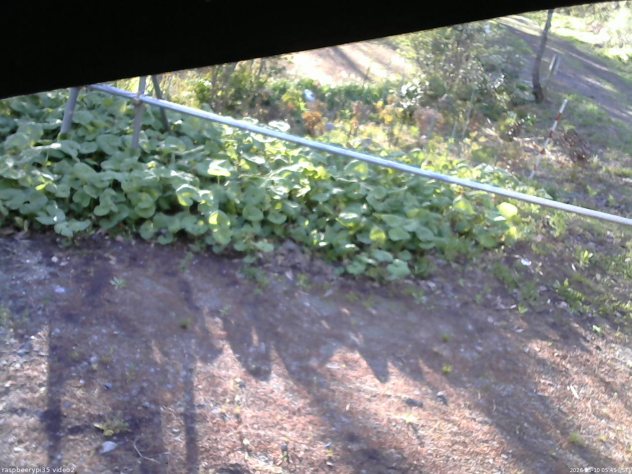 長野県菅平高原 ゆたか山荘 駐車場 2026/05/10 05:45