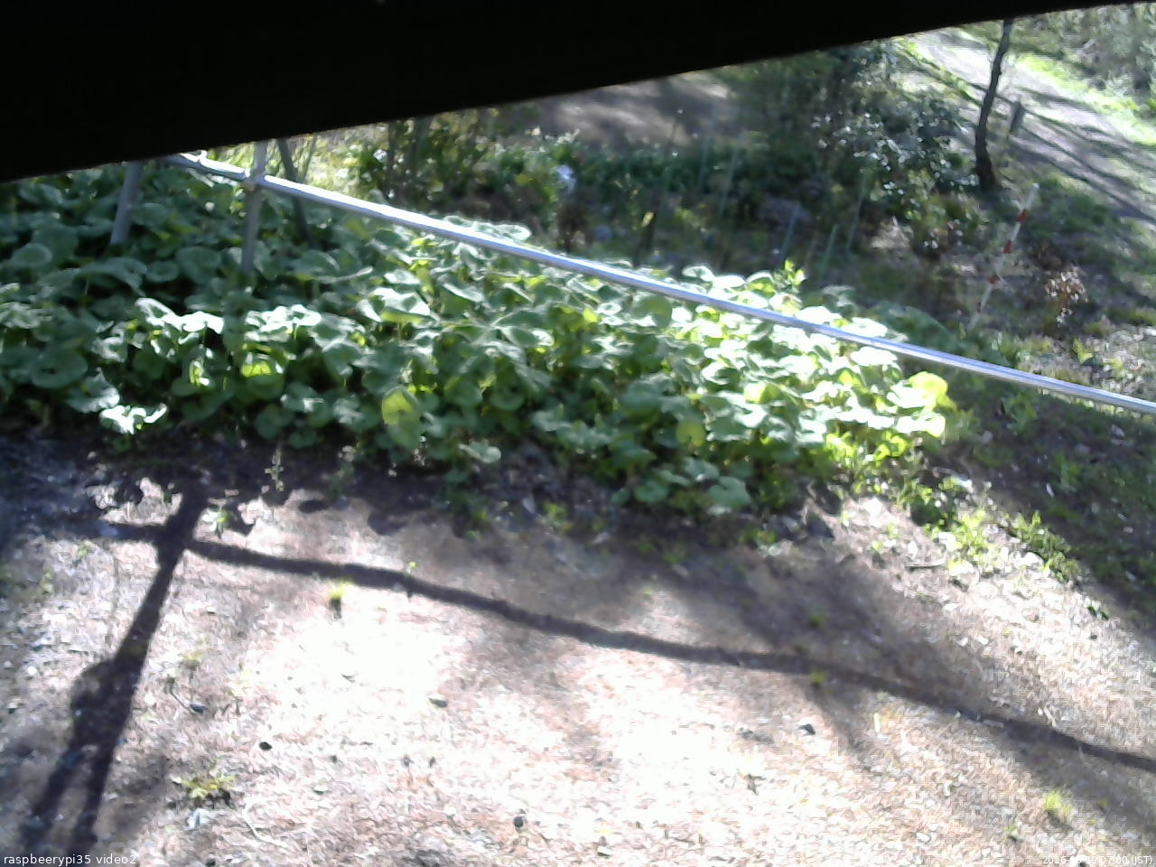 長野県菅平高原 ゆたか山荘 駐車場 2026/05/10 07:00