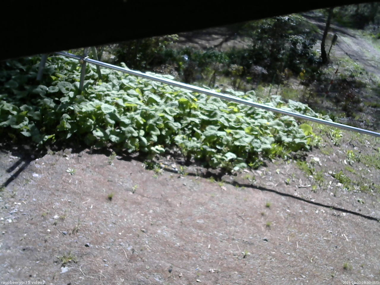 長野県菅平高原 ゆたか山荘 駐車場 2026/05/10 08:30