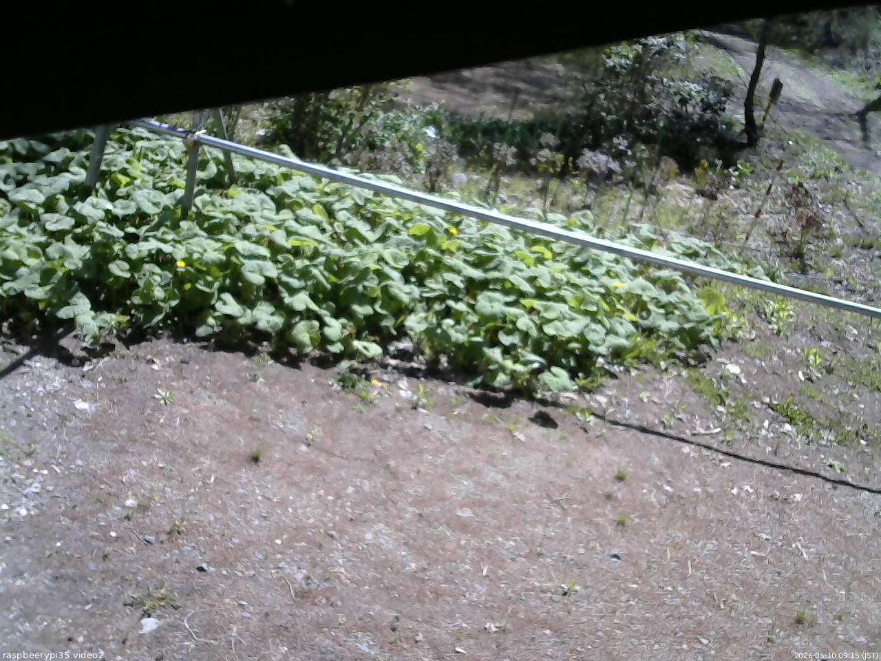 長野県菅平高原 ゆたか山荘 駐車場 2026/05/10 09:15
