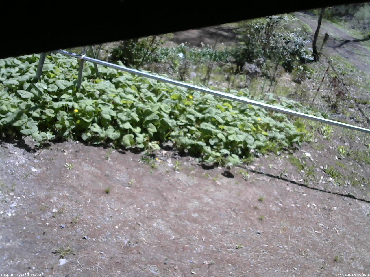 長野県菅平高原 ゆたか山荘 駐車場 2026/05/10 09:45