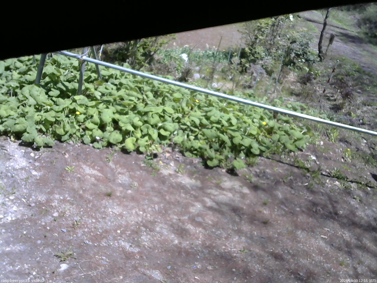 長野県菅平高原 ゆたか山荘 駐車場 2026/05/10 12:15