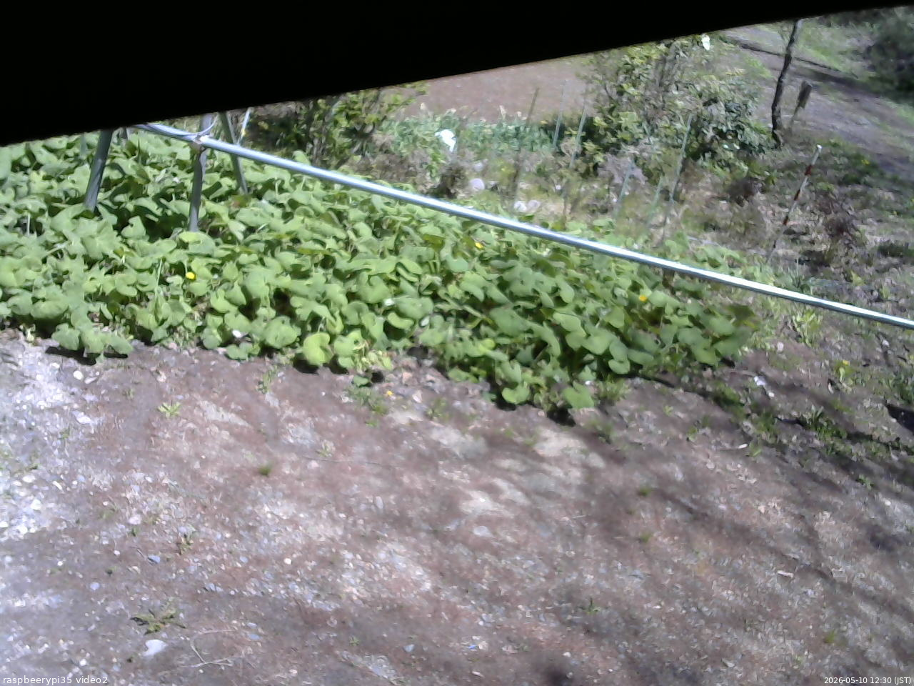 長野県菅平高原 ゆたか山荘 駐車場 2026/05/10 12:30