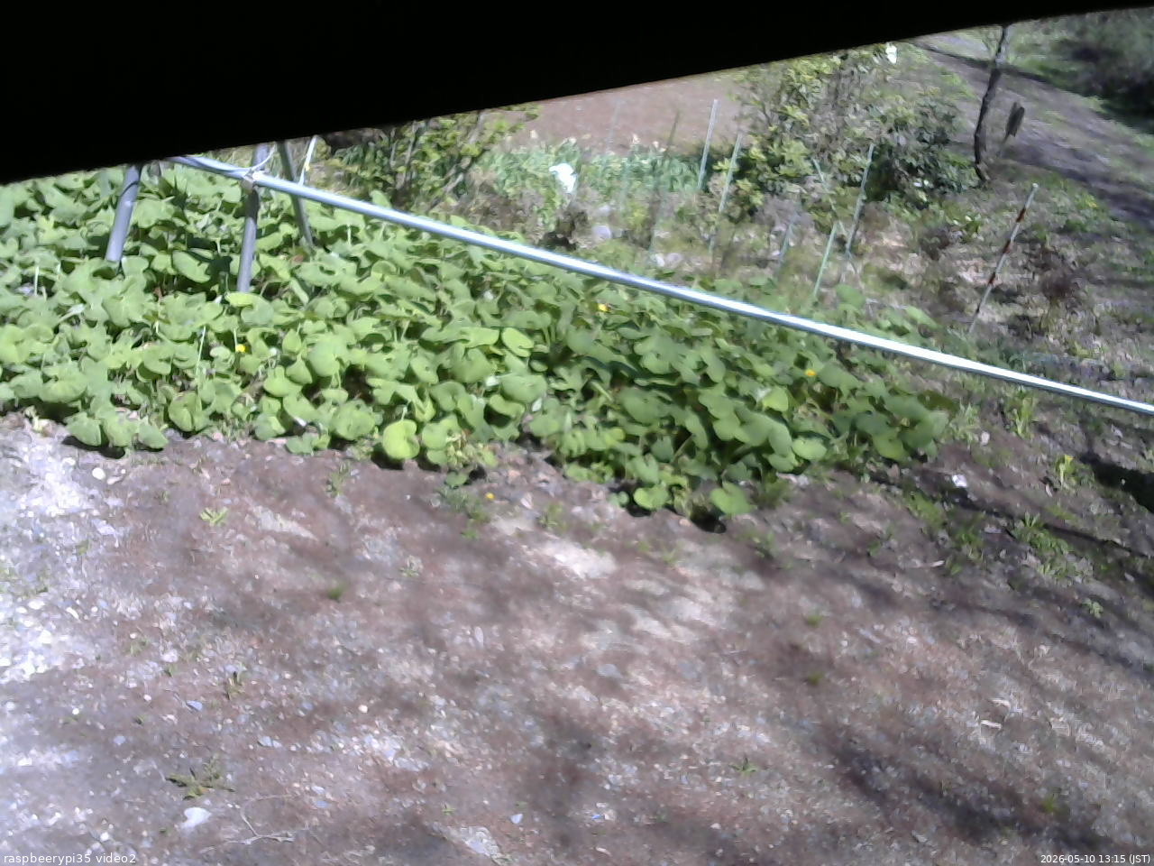 長野県菅平高原 ゆたか山荘 駐車場 2026/05/10 13:15