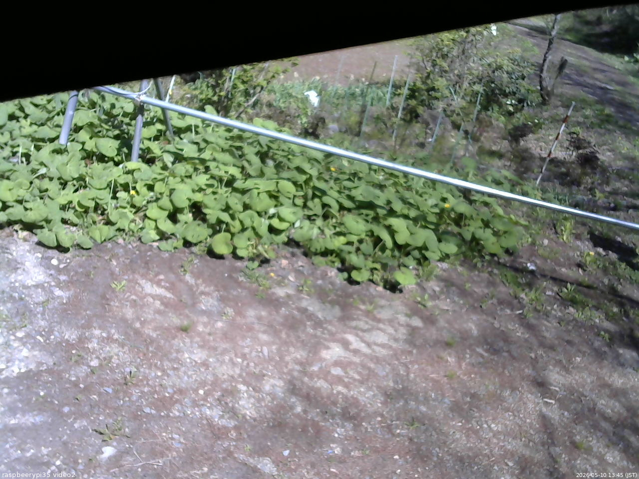 長野県菅平高原 ゆたか山荘 駐車場 2026/05/10 13:45