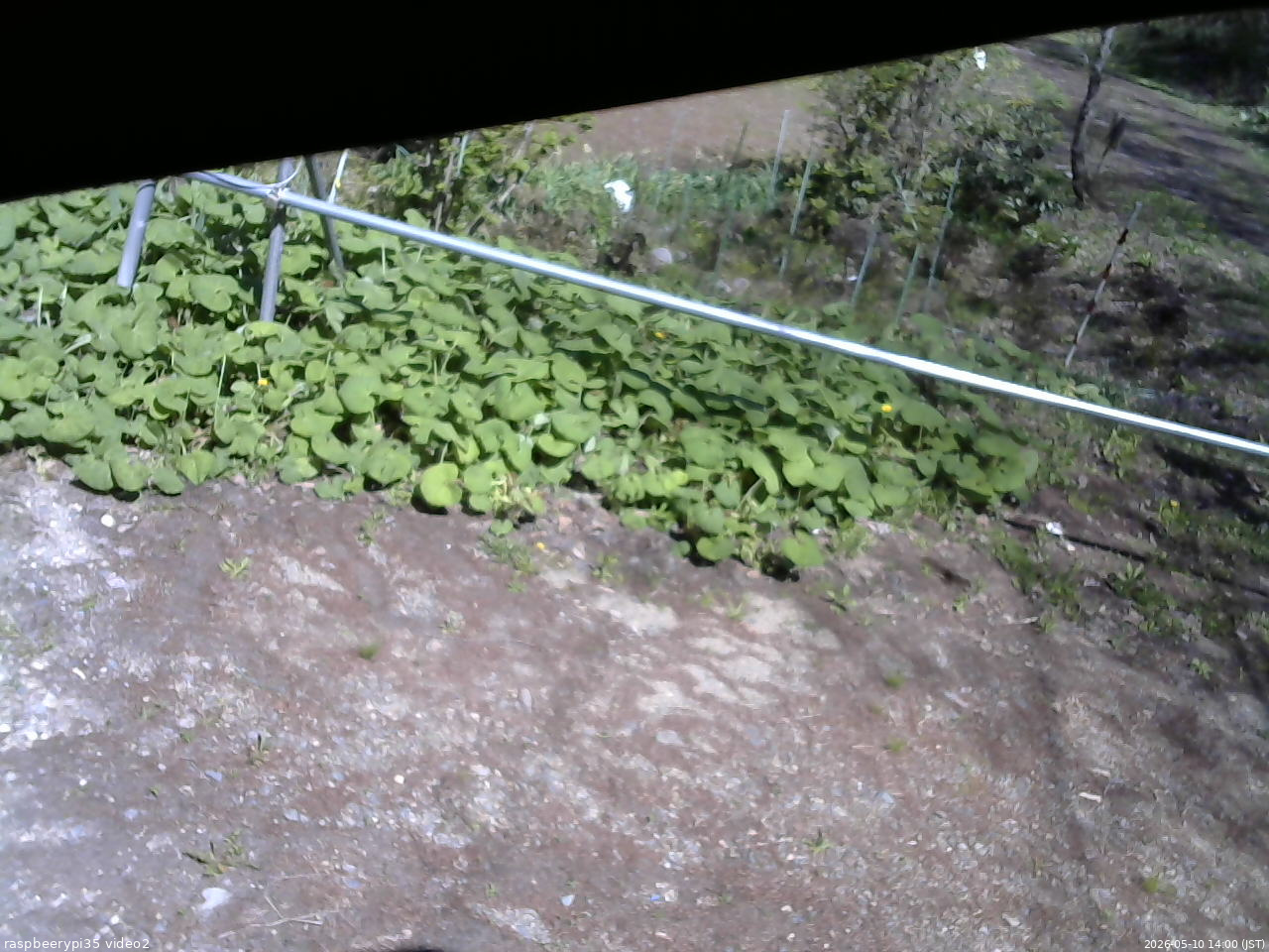 長野県菅平高原 ゆたか山荘 駐車場 2026/05/10 14:00