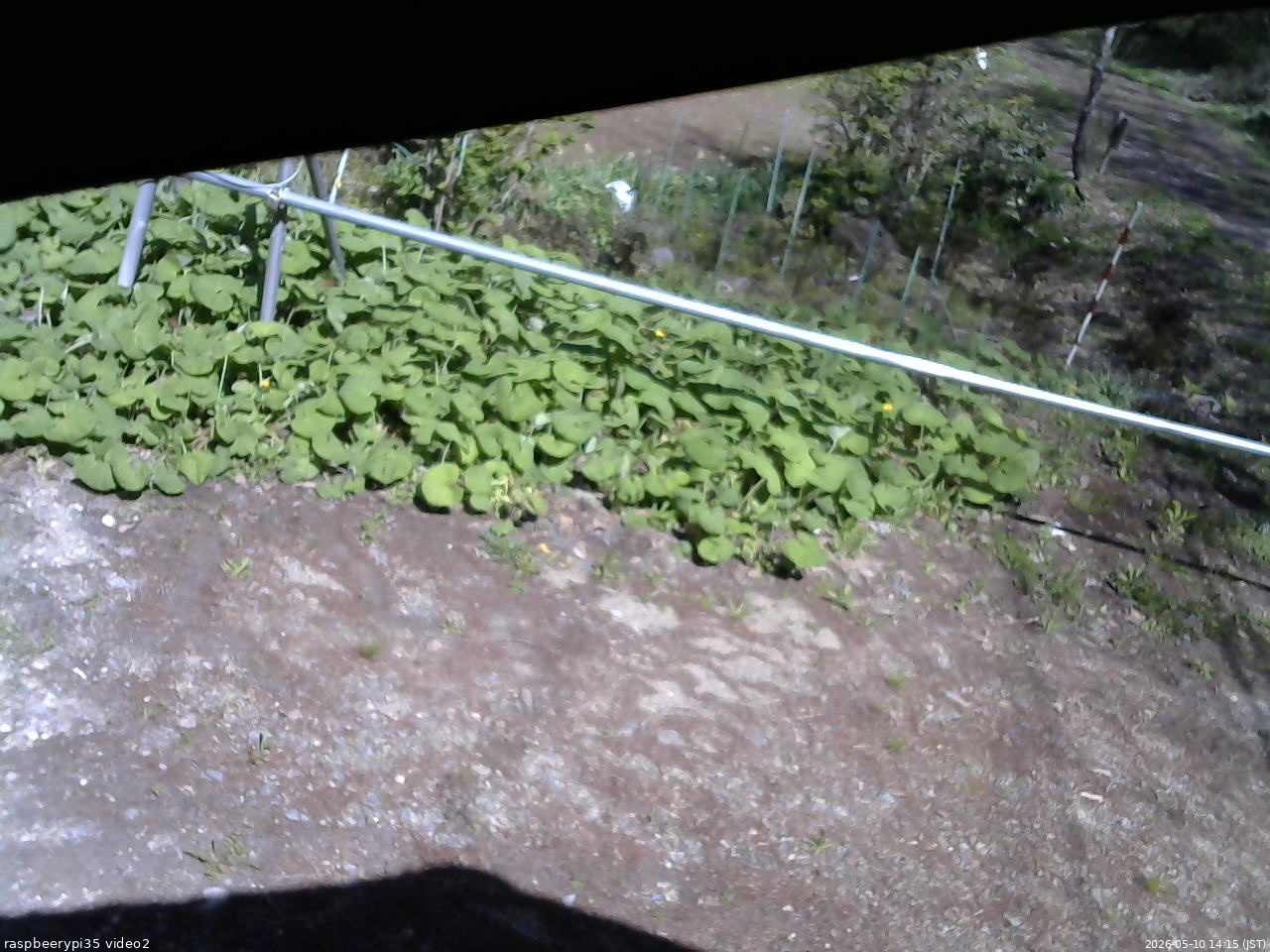 長野県菅平高原 ゆたか山荘 駐車場 2026/05/10 14:15
