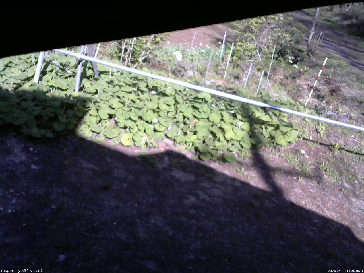 長野県菅平高原 ゆたか山荘 駐車場 2026/05/10 15:30