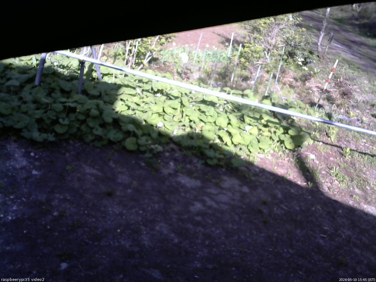 長野県菅平高原 ゆたか山荘 駐車場 2026/05/10 15:45