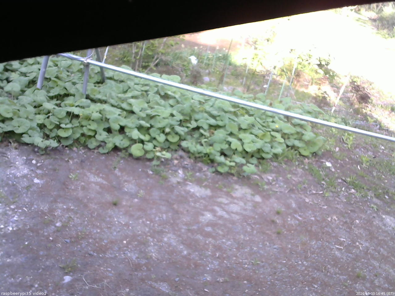 長野県菅平高原 ゆたか山荘 駐車場 2026/05/10 16:45