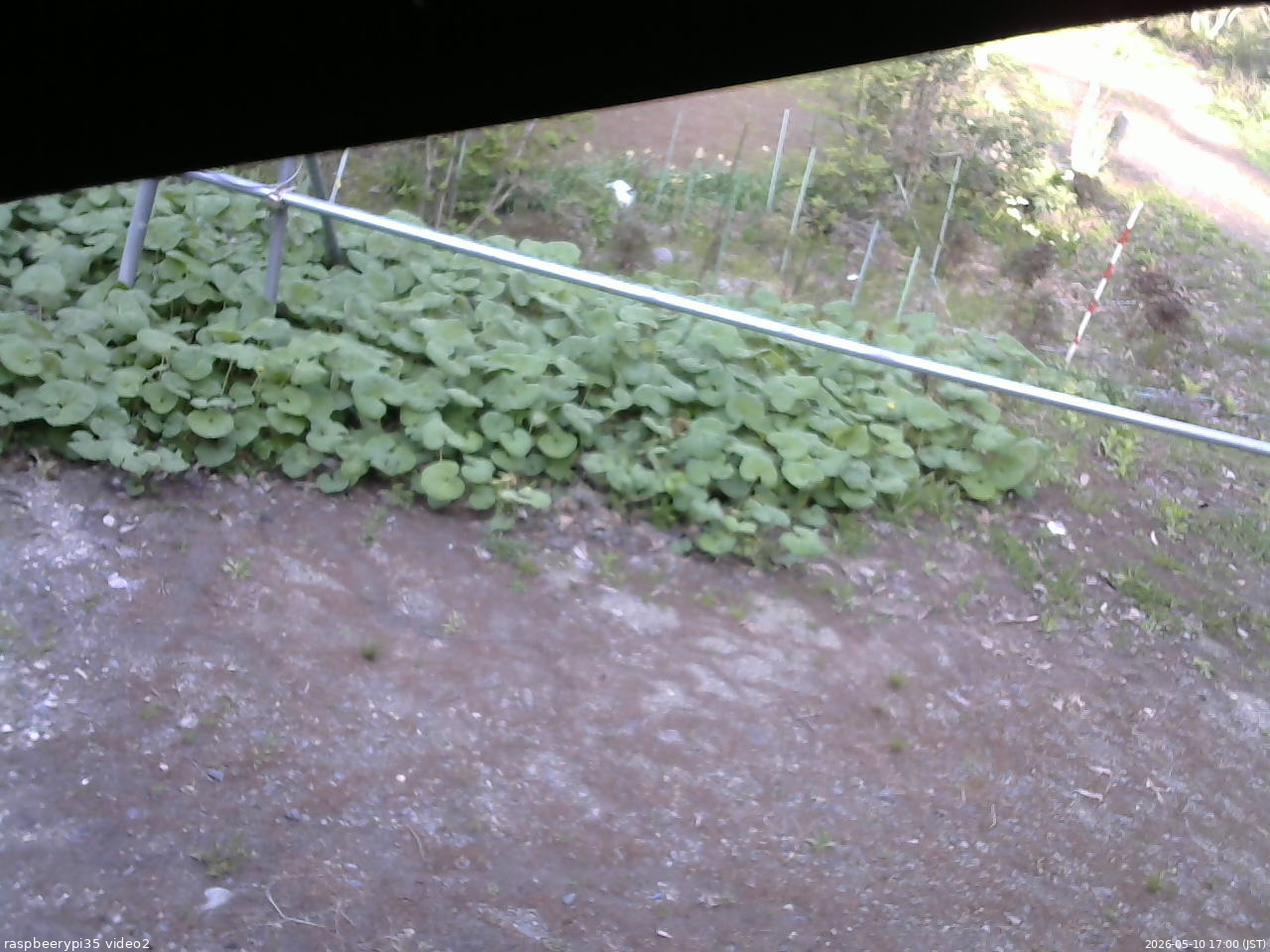 長野県菅平高原 ゆたか山荘 駐車場 2026/05/10 17:00