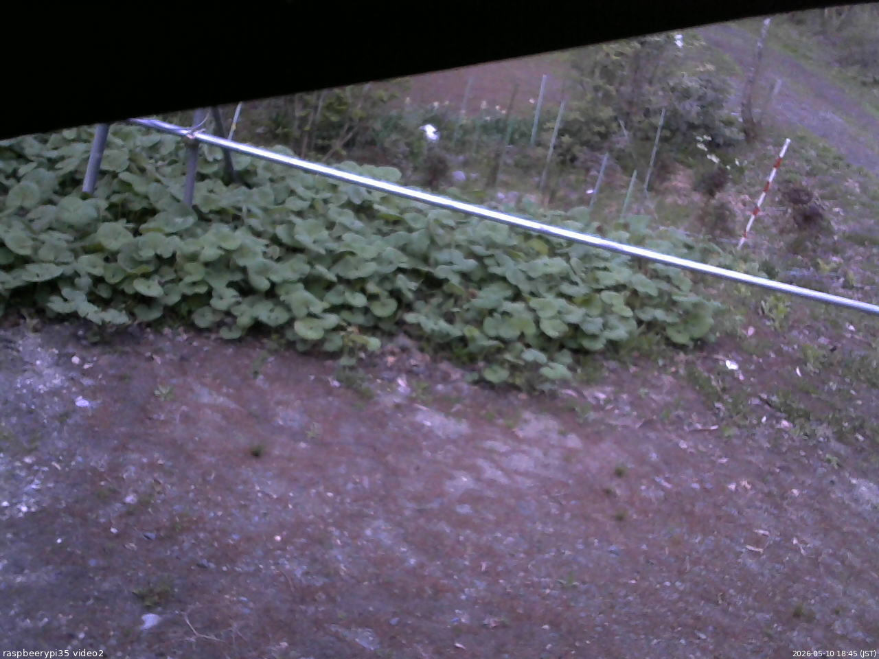 長野県菅平高原 ゆたか山荘 駐車場 2026/05/10 18:45