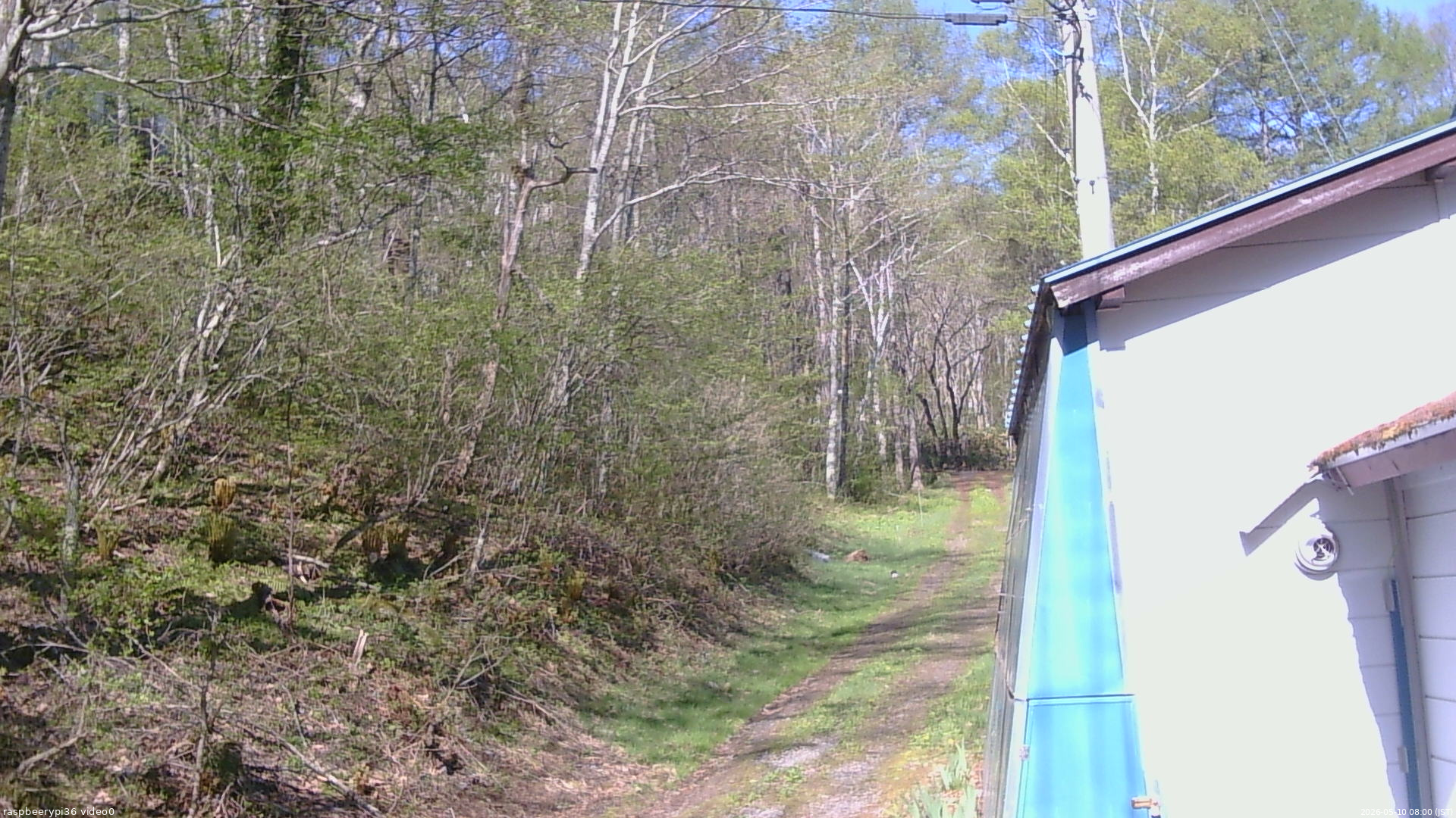 長野県菅平高原 ゆたか山荘 ゆたか山荘 2026/05/10 08:00
