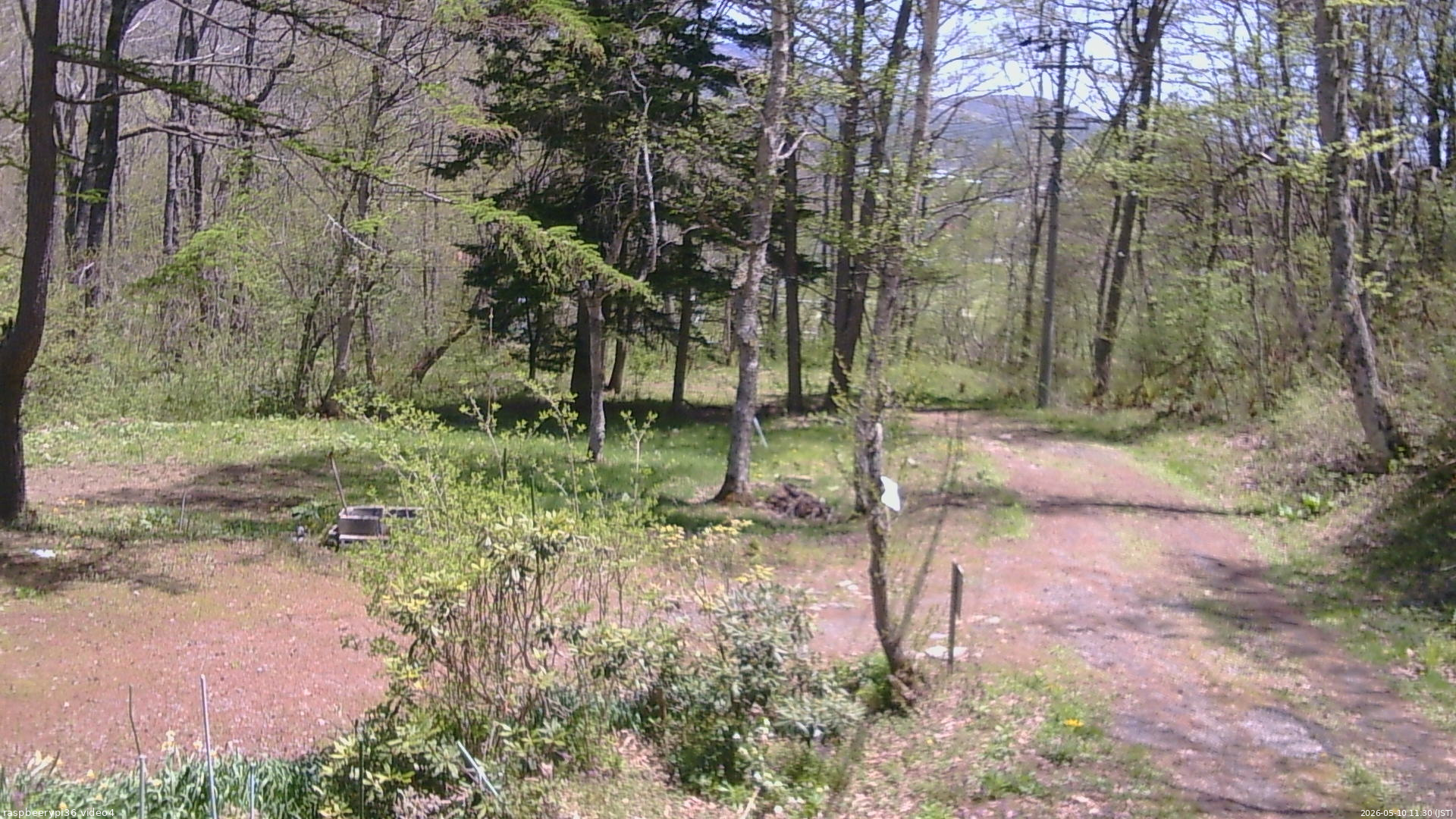 長野県菅平高原 ゆたか山荘 坂上 2026/05/10 11:30