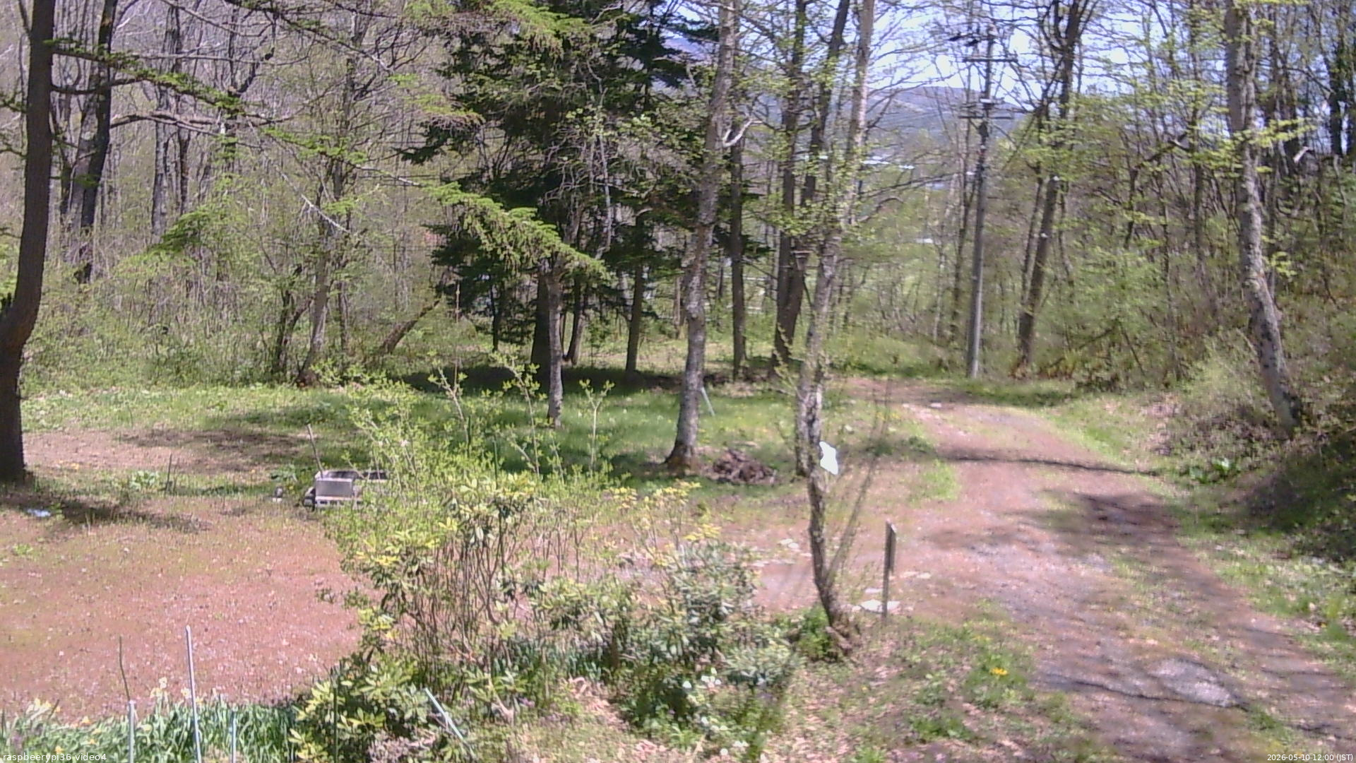 長野県菅平高原 ゆたか山荘 坂上 2026/05/10 12:00