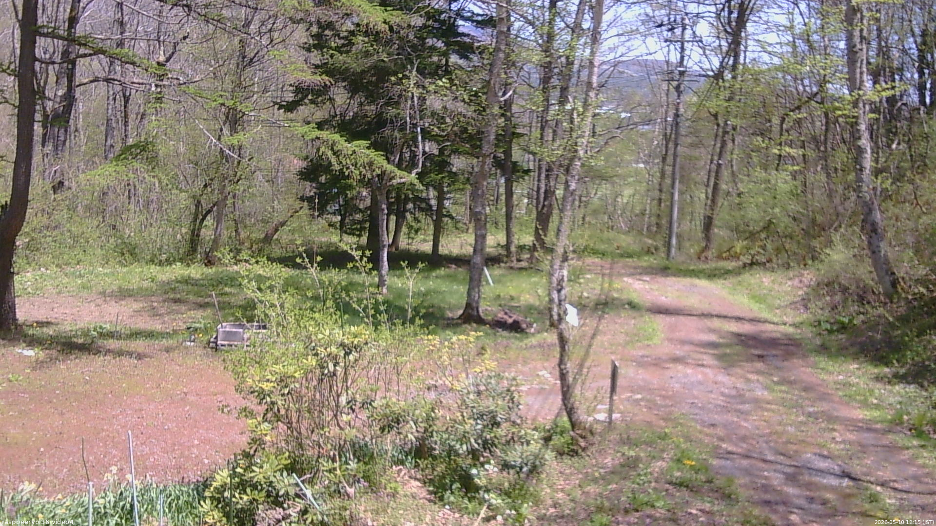 長野県菅平高原 ゆたか山荘 坂上 2026/05/10 12:15