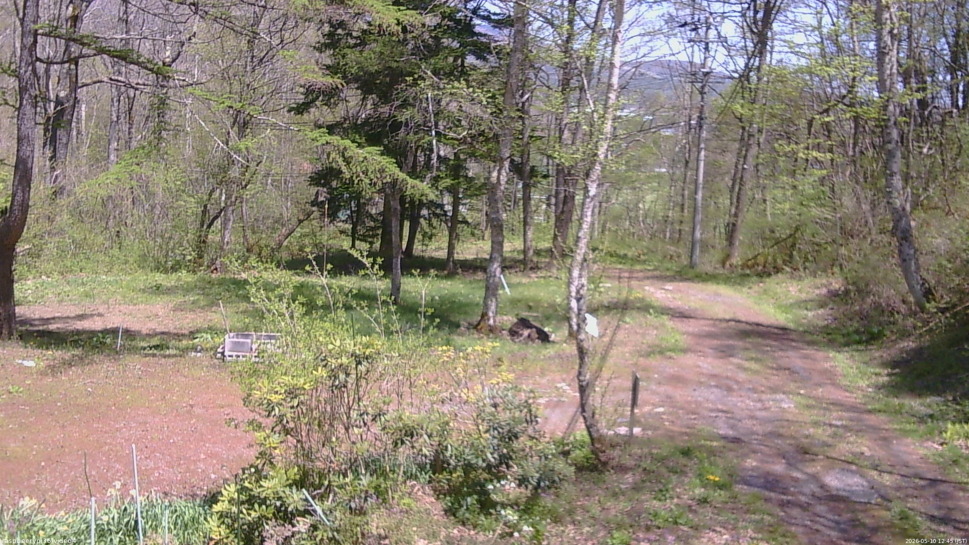 長野県菅平高原 ゆたか山荘 坂上 2026/05/10 12:45