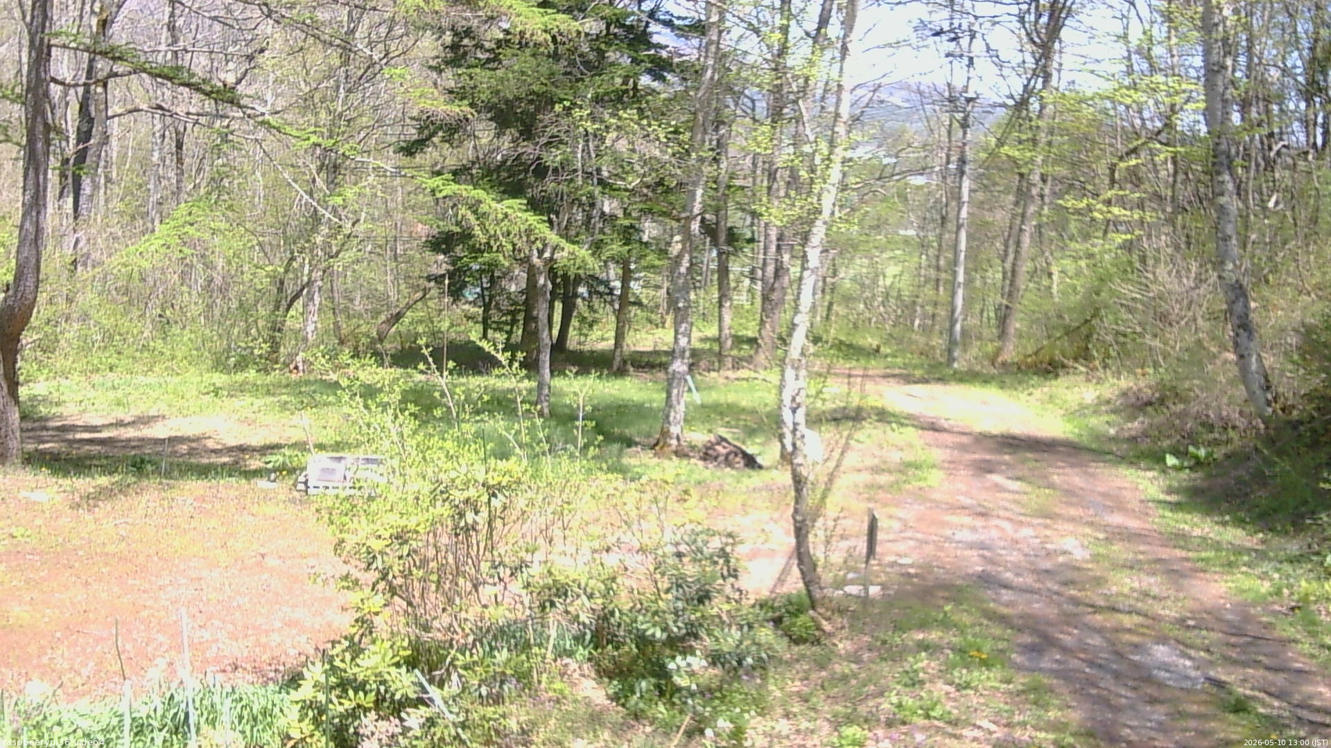 長野県菅平高原 ゆたか山荘 坂上 2026/05/10 13:00