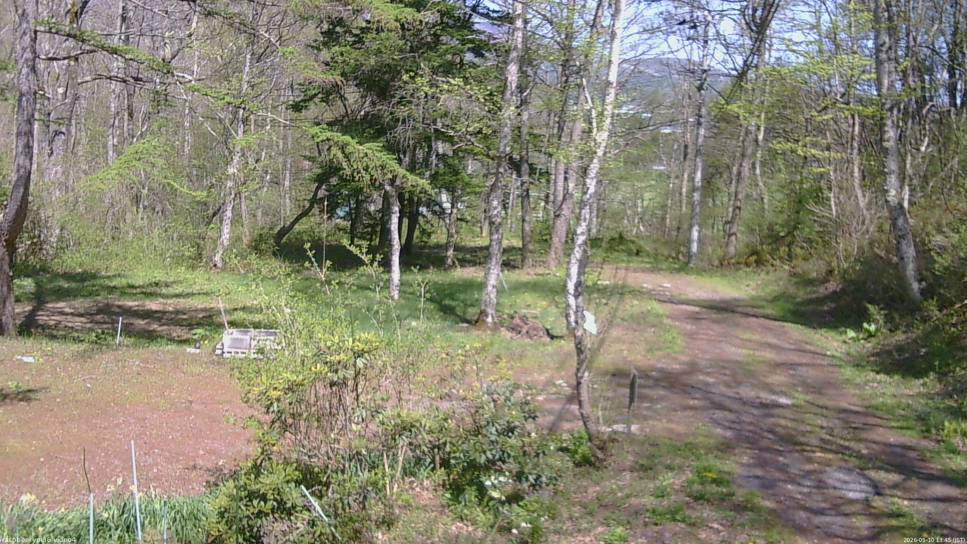 長野県菅平高原 ゆたか山荘 坂上 2026/05/10 13:45