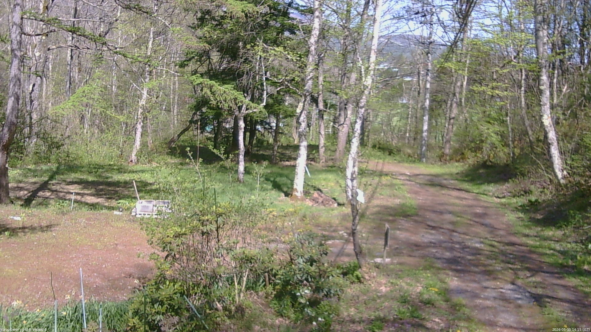 長野県菅平高原 ゆたか山荘 坂上 2026/05/10 14:15
