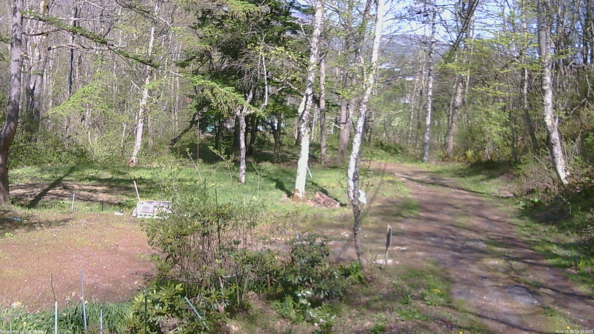 長野県菅平高原 ゆたか山荘 坂上 2026/05/10 14:30