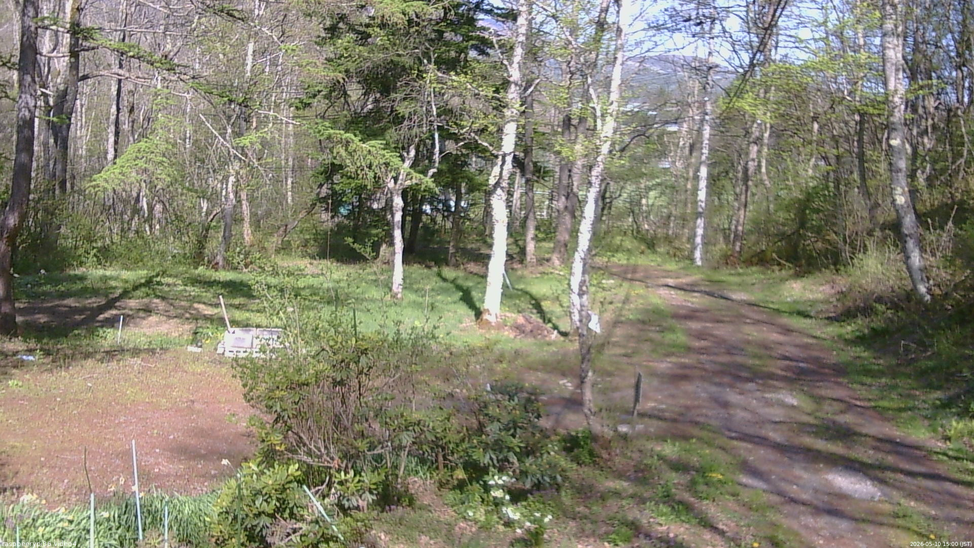 長野県菅平高原 ゆたか山荘 坂上 2026/05/10 15:00