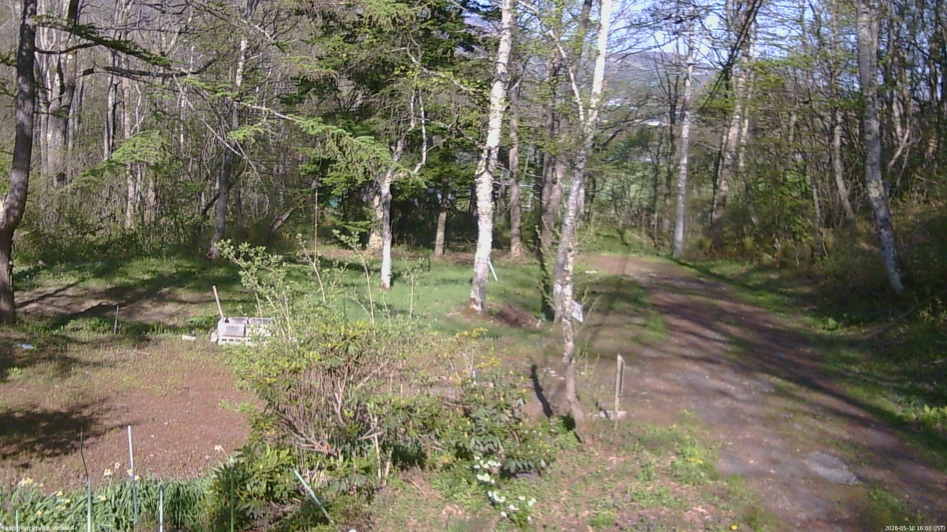 長野県菅平高原 ゆたか山荘 坂上 2026/05/10 16:00