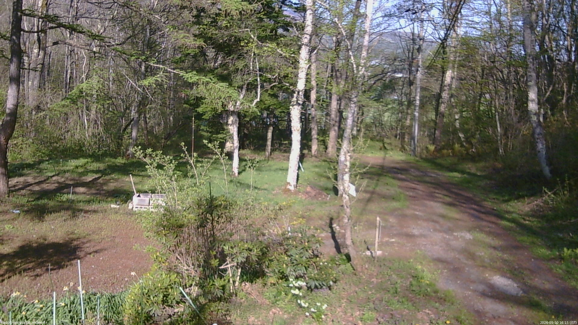 長野県菅平高原 ゆたか山荘 坂上 2026/05/10 16:15
