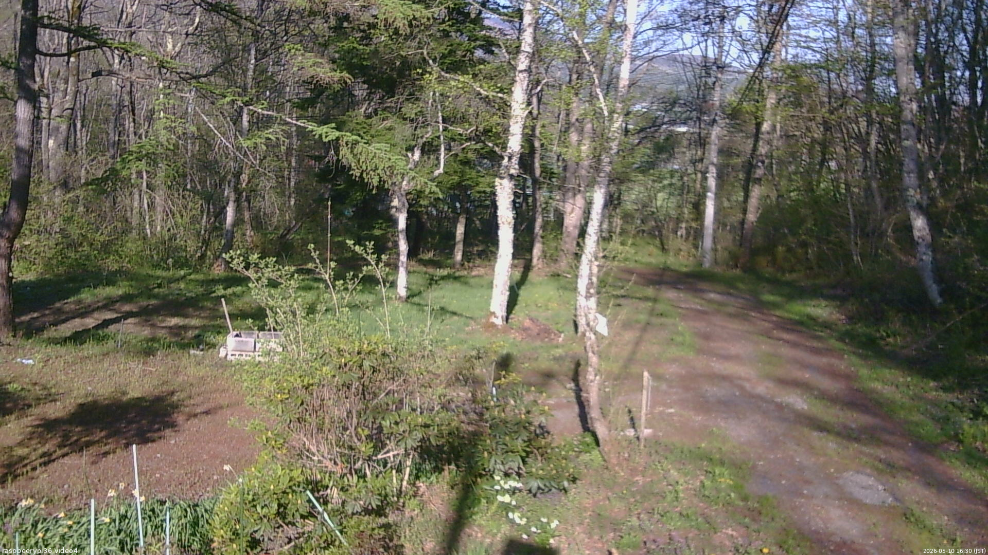 長野県菅平高原 ゆたか山荘 坂上 2026/05/10 16:30
