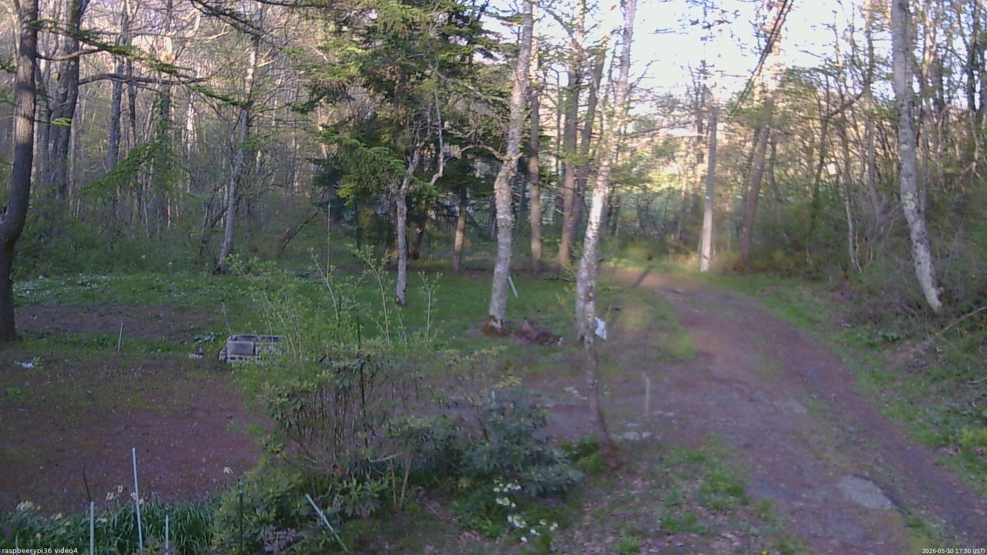 長野県菅平高原 ゆたか山荘 坂上 2026/05/10 17:30