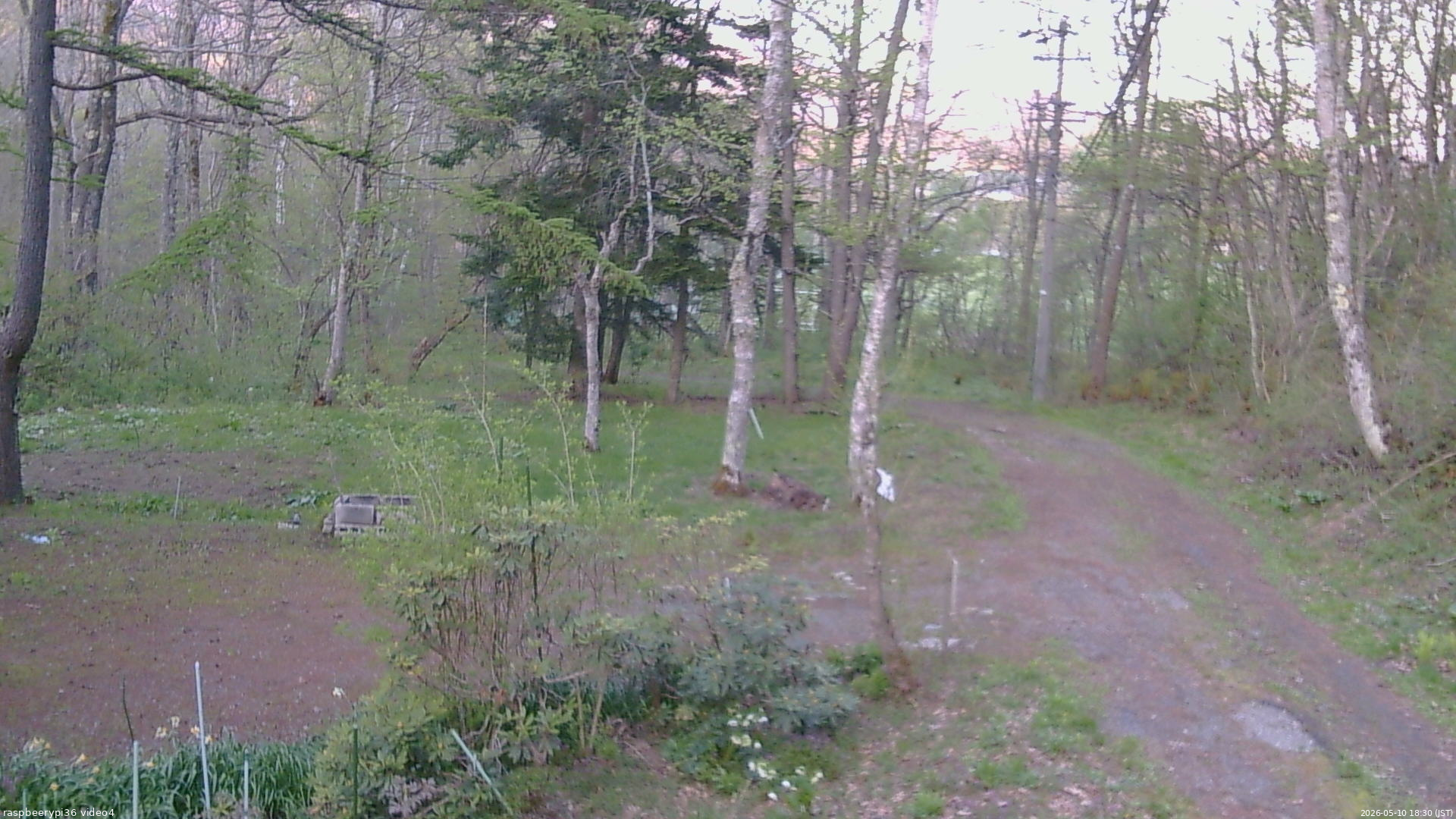 長野県菅平高原 ゆたか山荘 坂上 2026/05/10 18:30