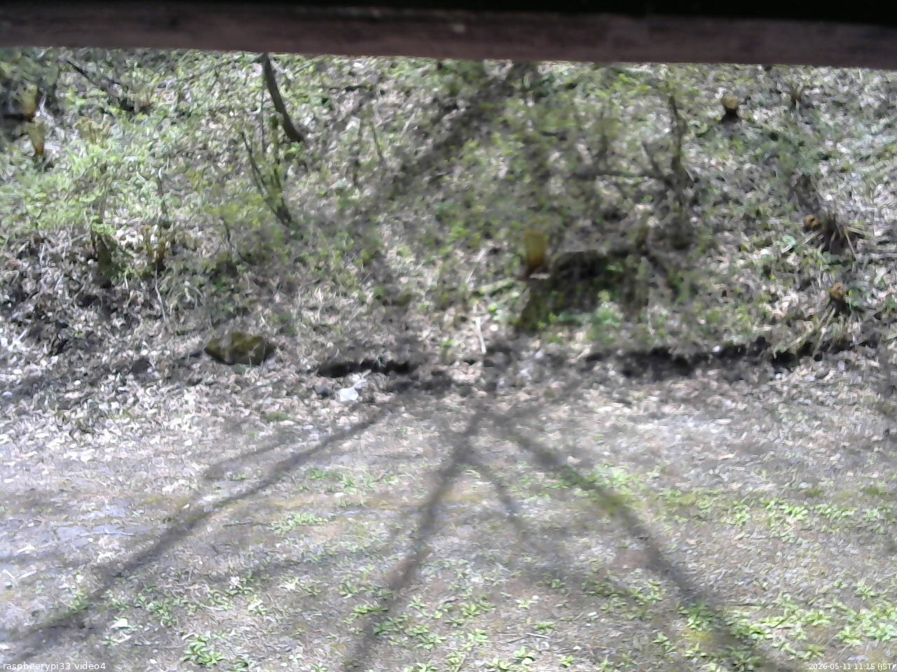 長野県菅平高原 ゆたか山荘 東側(坂下) 2026/05/11 11:15