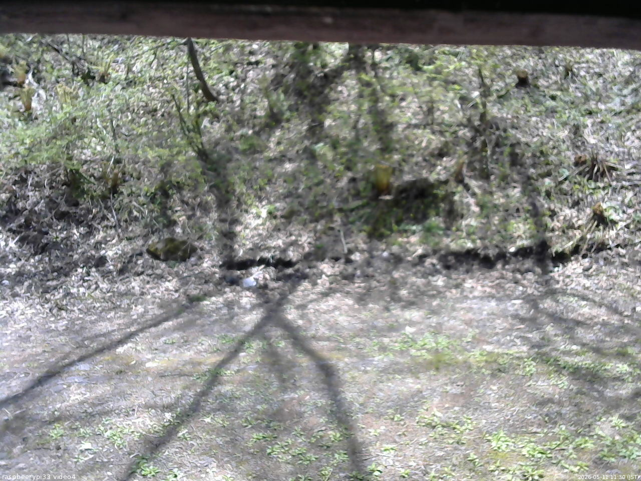 長野県菅平高原 ゆたか山荘 東側(坂下) 2026/05/11 11:30