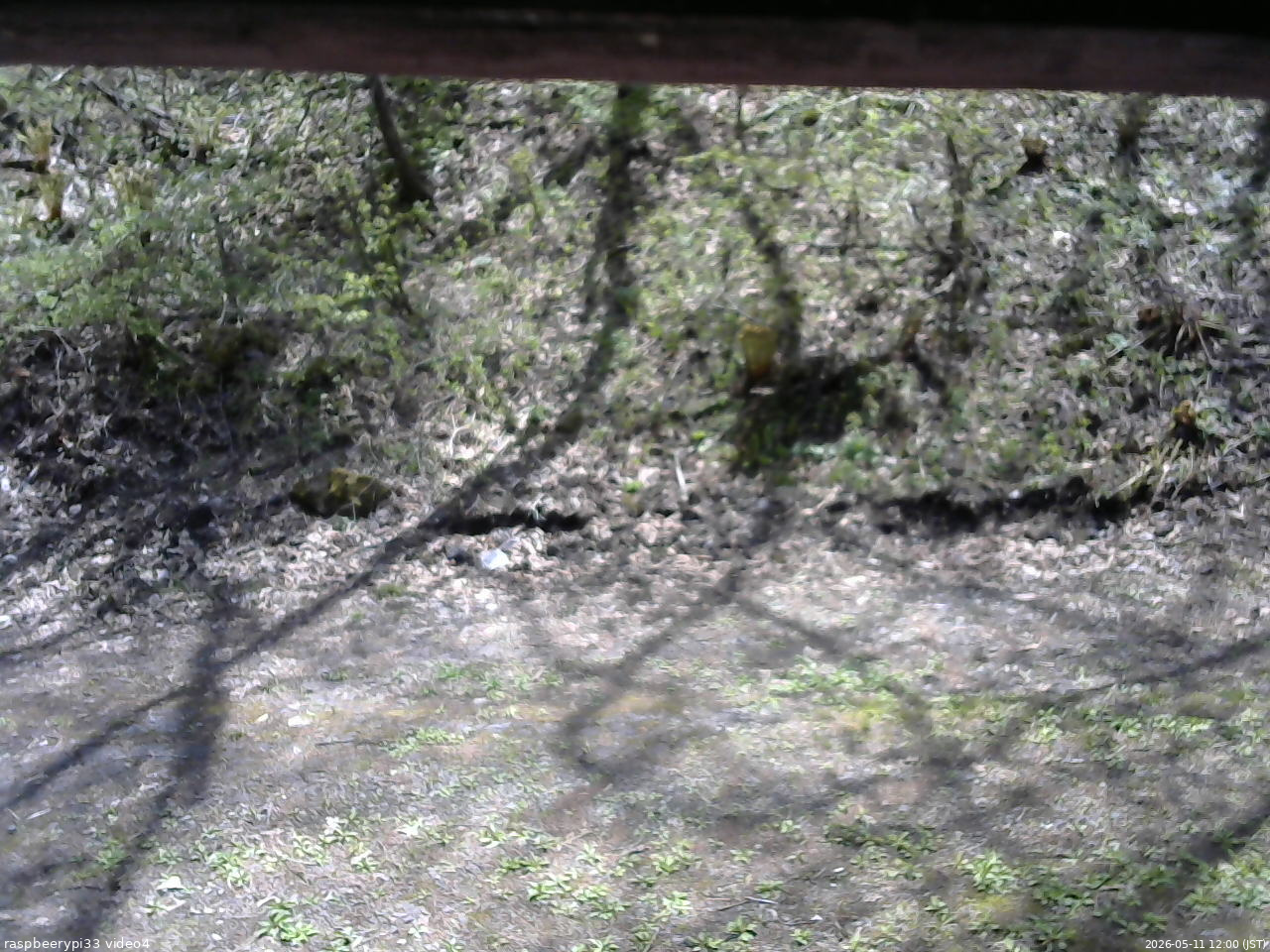 長野県菅平高原 ゆたか山荘 東側(坂下) 2026/05/11 12:00
