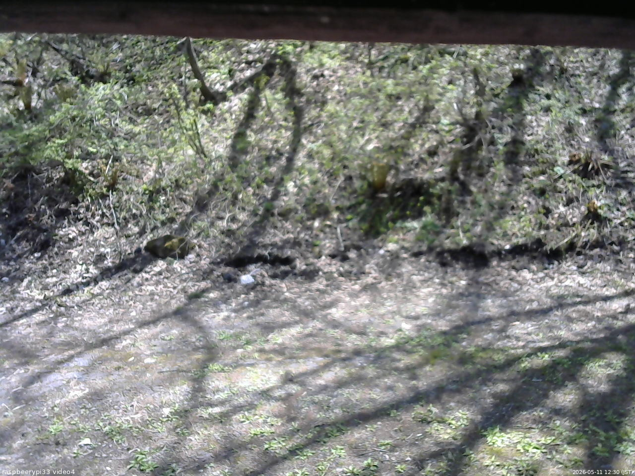 長野県菅平高原 ゆたか山荘 東側(坂下) 2026/05/11 12:30