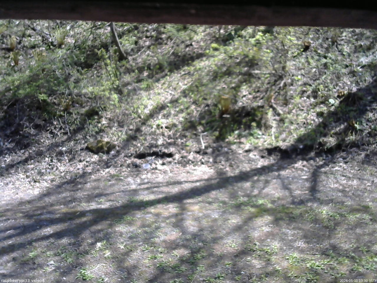 長野県菅平高原 ゆたか山荘 東側(坂下) 2026/05/11 13:30