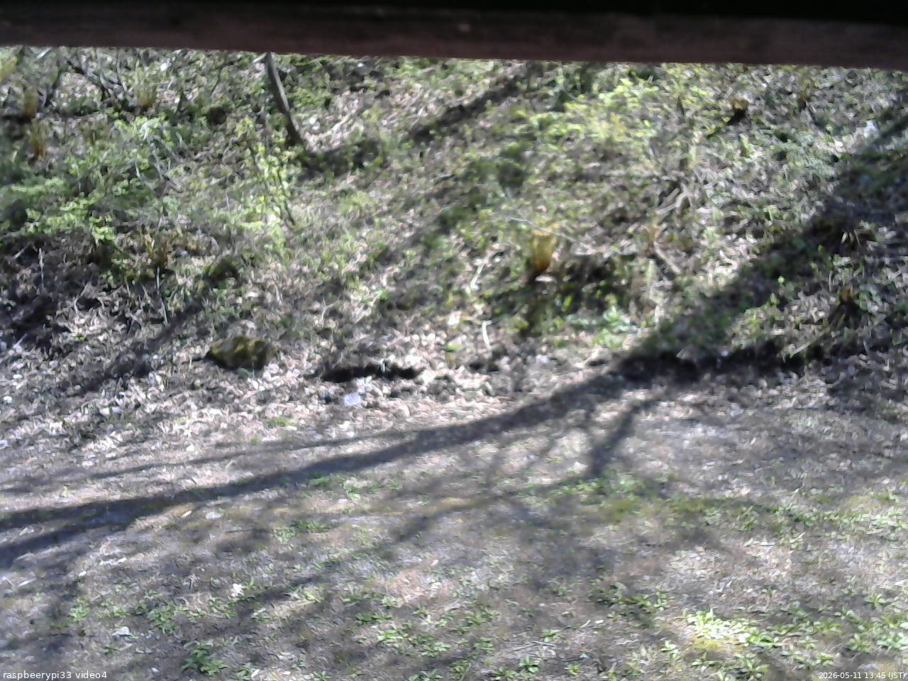 長野県菅平高原 ゆたか山荘 東側(坂下) 2026/05/11 13:45