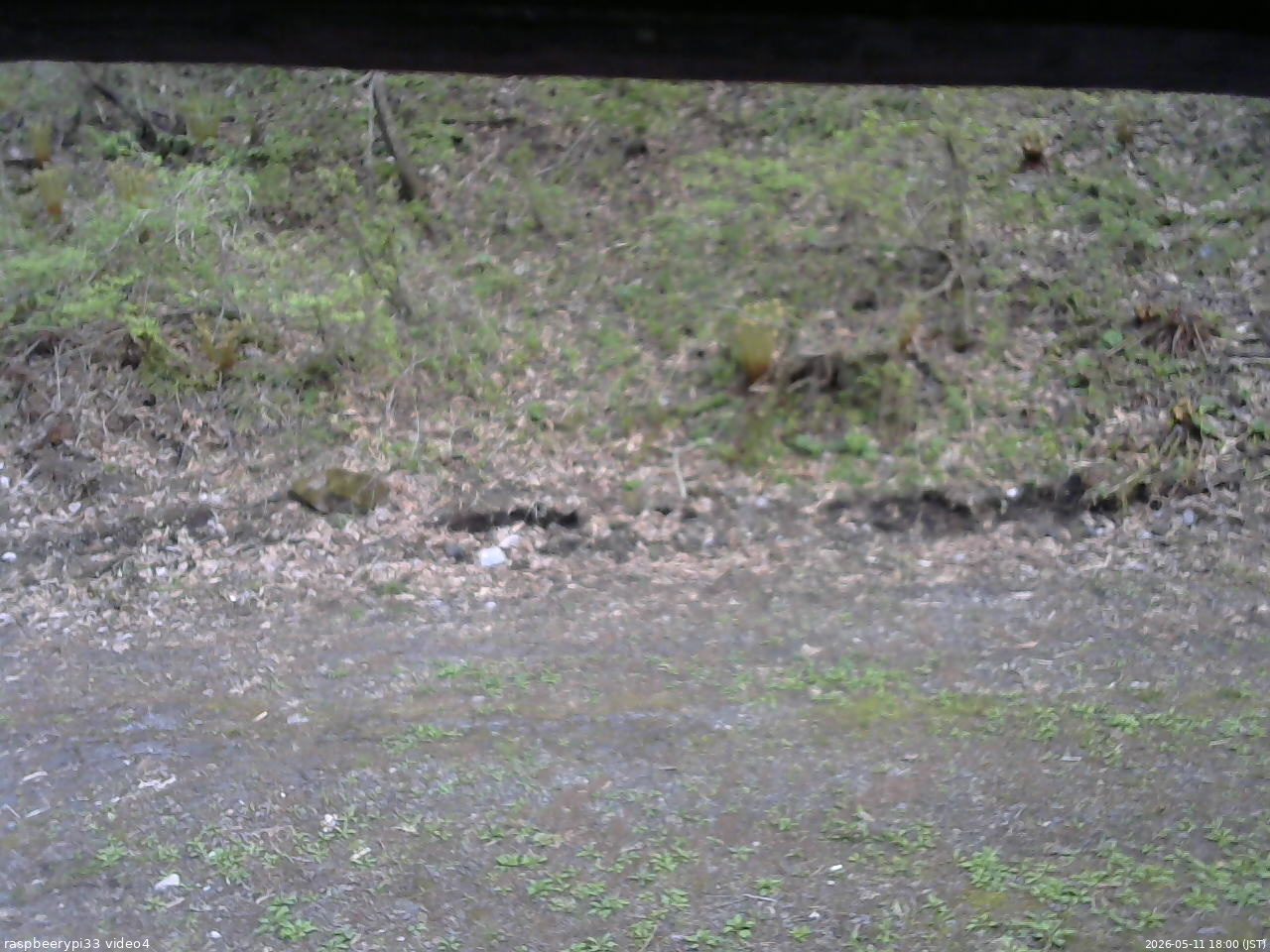 長野県菅平高原 ゆたか山荘 東側(坂下) 2026/05/11 18:00