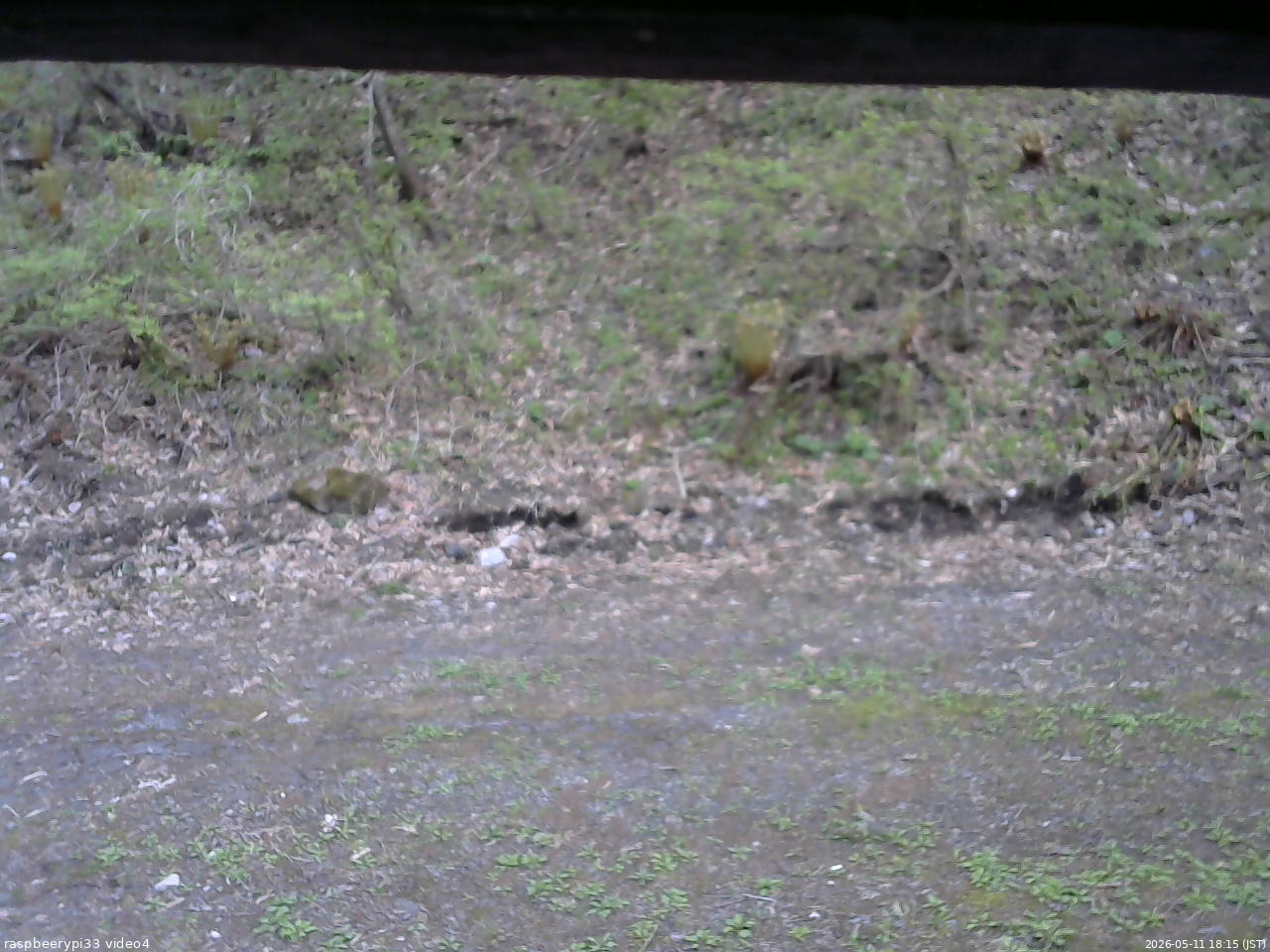 長野県菅平高原 ゆたか山荘 東側(坂下) 2026/05/11 18:15