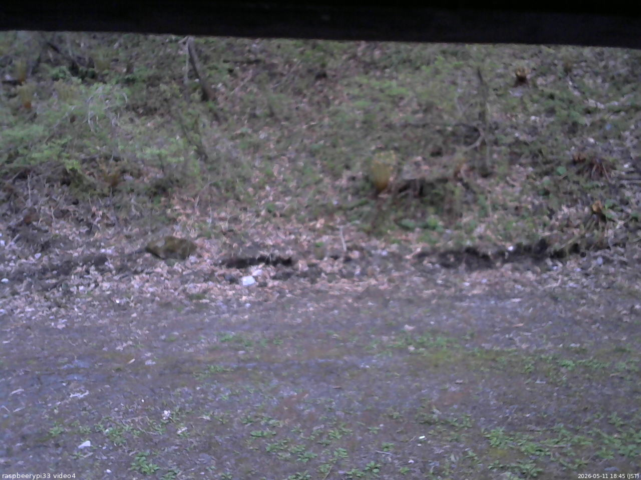 長野県菅平高原 ゆたか山荘 東側(坂下) 2026/05/11 18:45